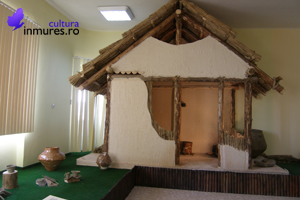 Expoziţia Habitat în Valea Mureşului Superior a Muzeului Judeţean Mureş